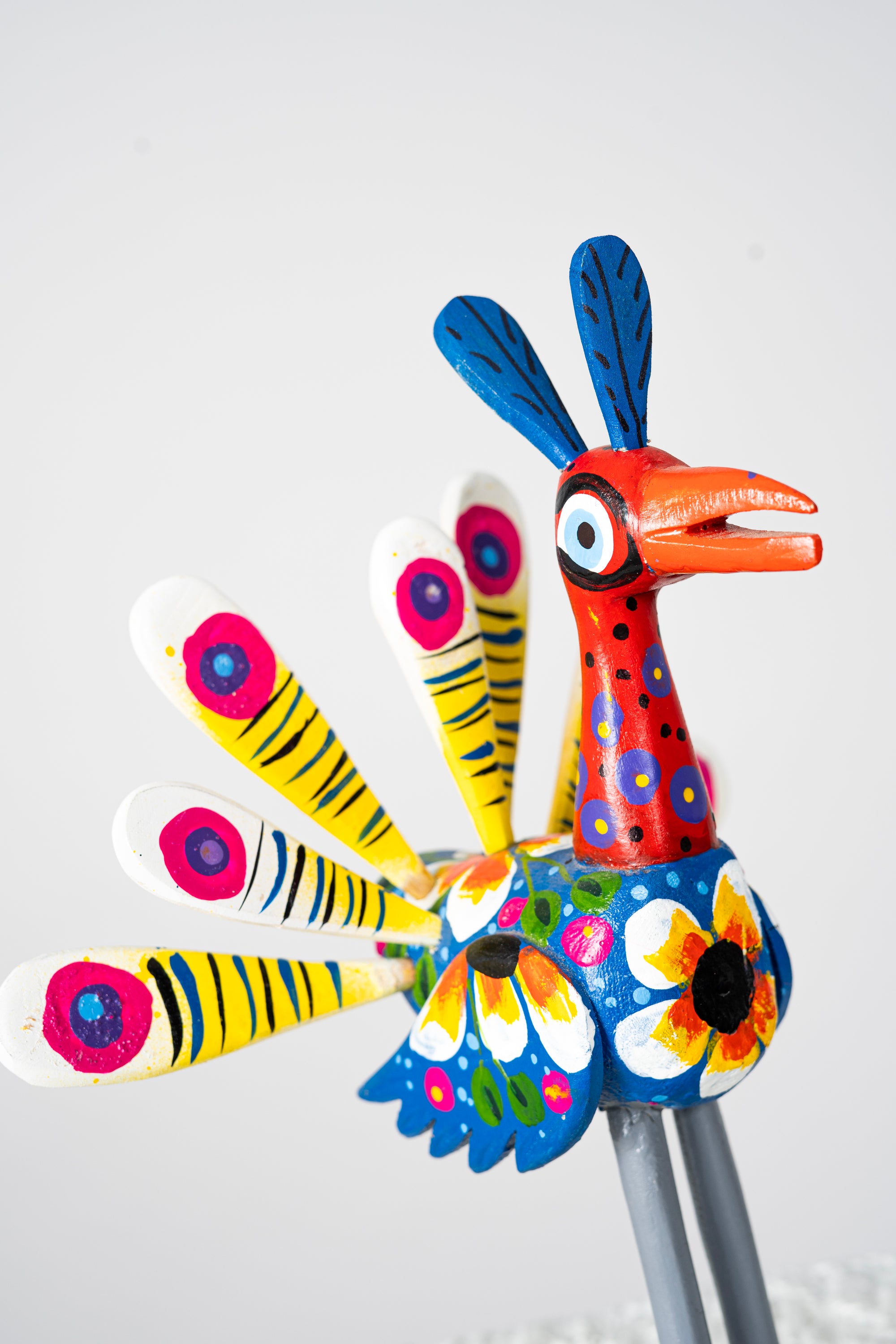 Small Peacock
