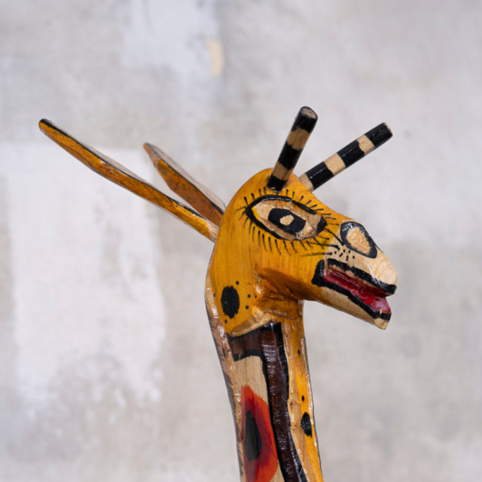 Giraffes