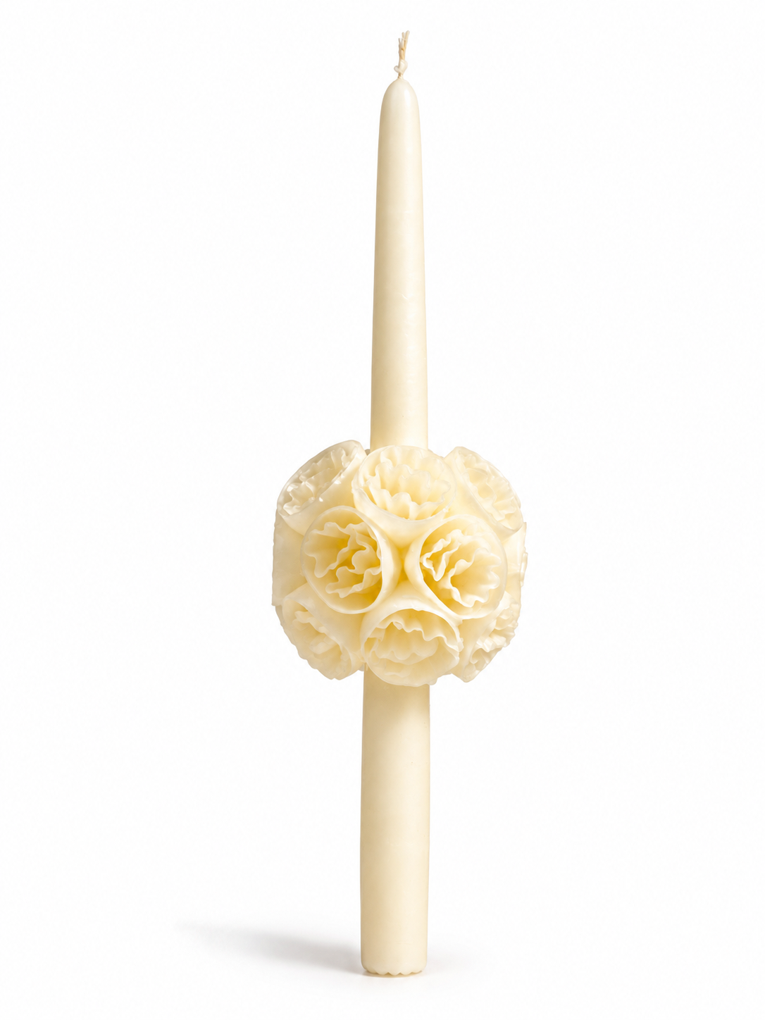 Allium