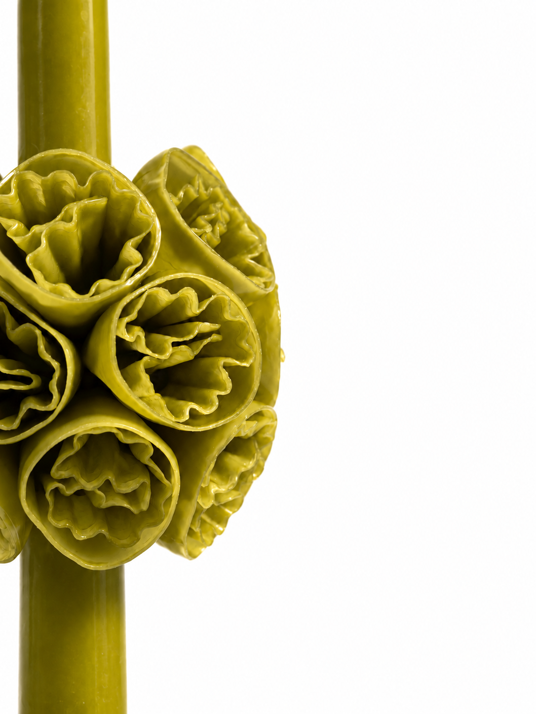 Allium