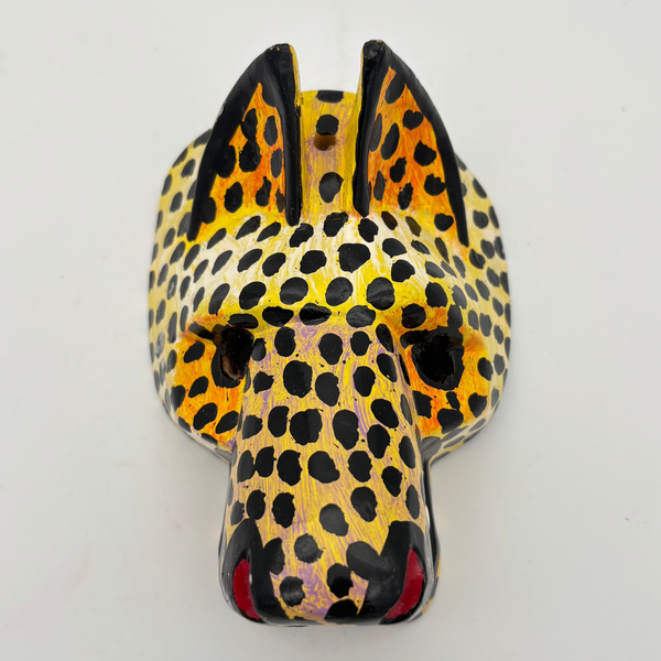 Mini Masks