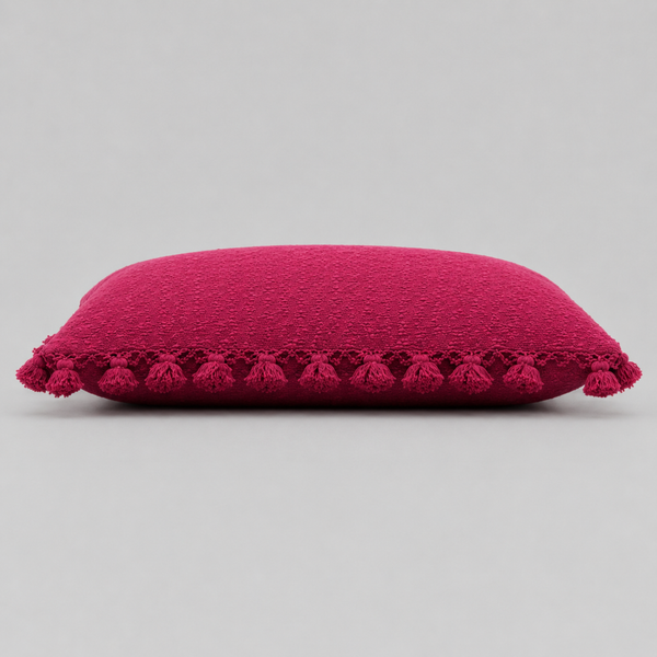 Cushion Cover with Tassel 45x30 cm